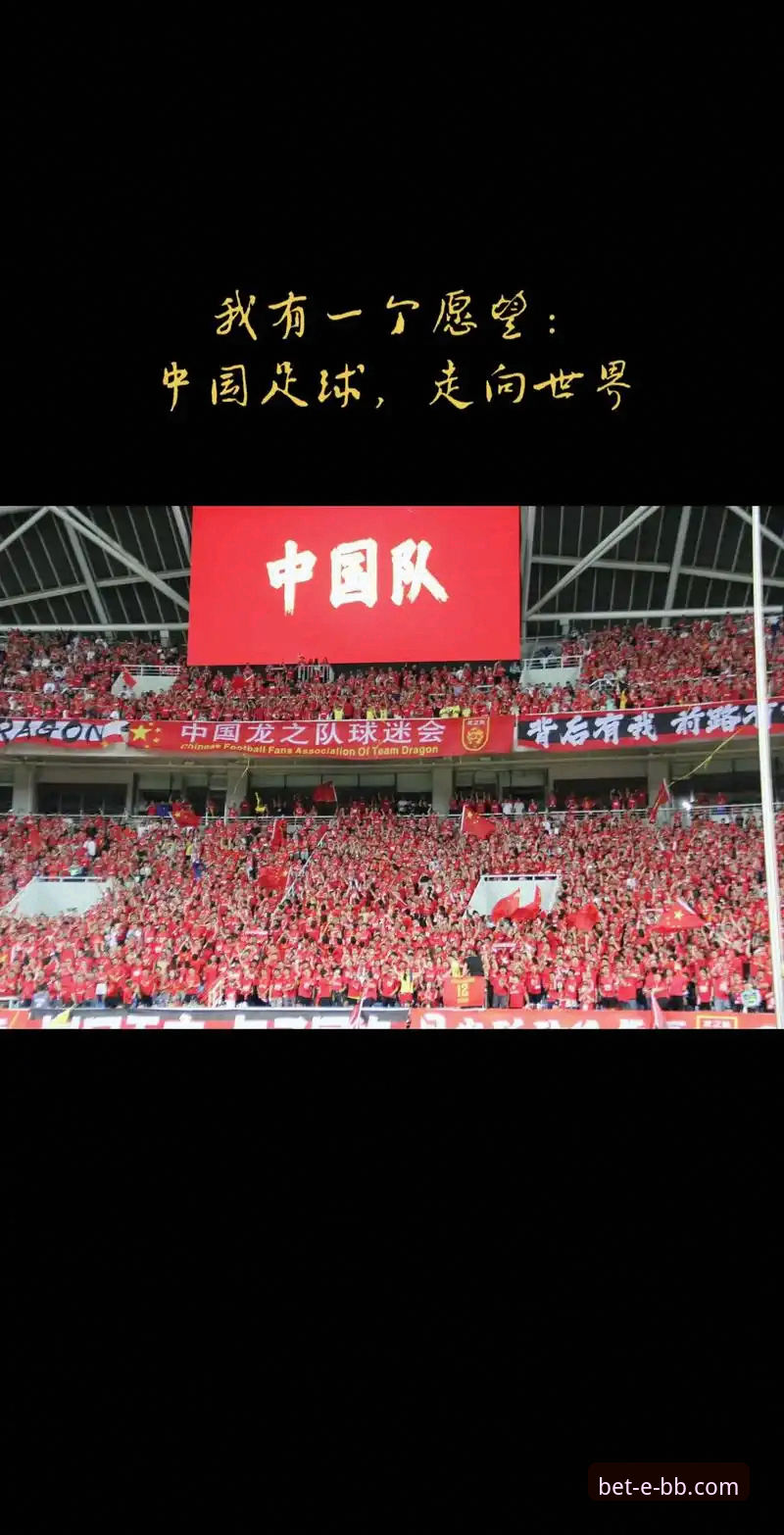 贝博体育官网登录 资深球迷分享:在贝博体育平台见证民主刚果52年世界杯梦圆时刻的观赛心得